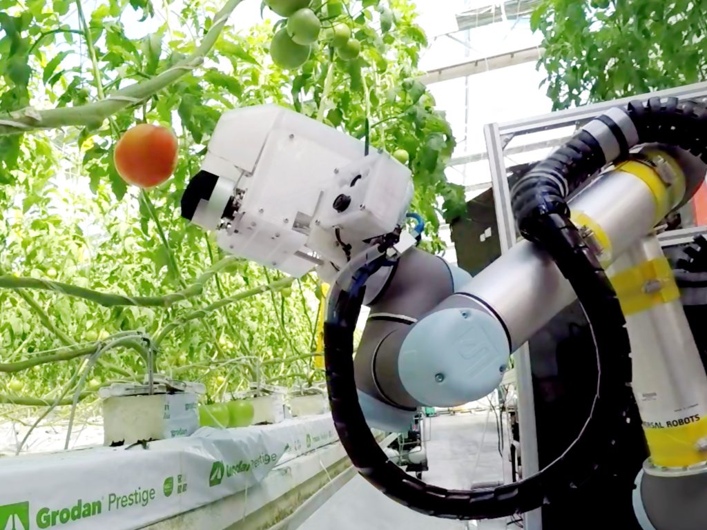 ヤンマー、「大玉トマト収穫ロボット」試作機を「2022国際