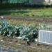 農業 ICTを支える 「ポジモ」の汎用・圃場ネットワーク