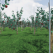 スマート農業開発における機械学習を実用的な時間で実現させるソリューション「Smart3tene」をリリース